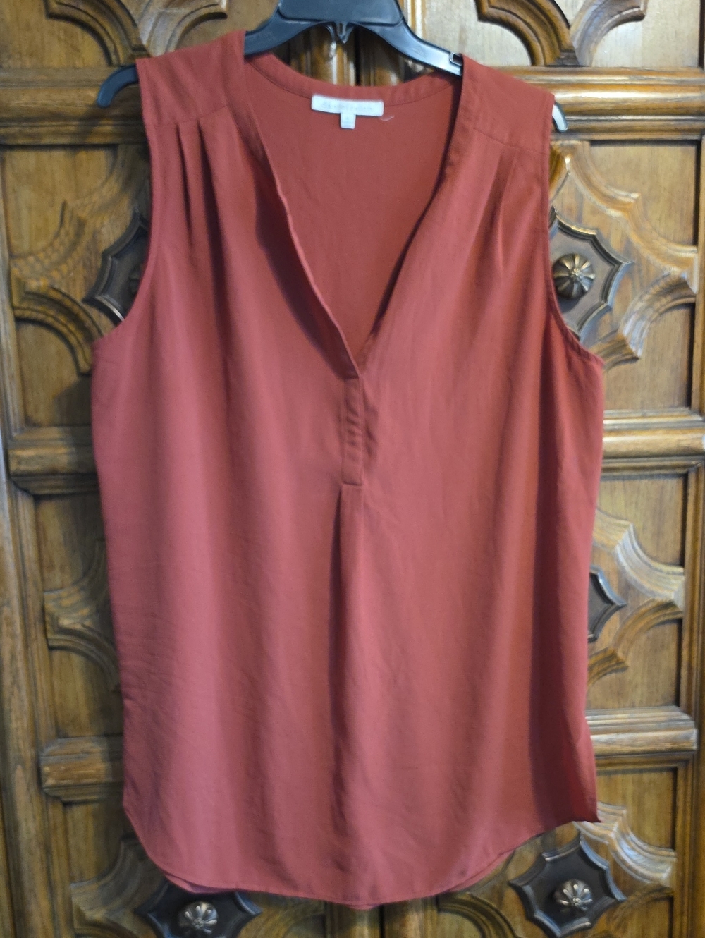 Daniel Rainn Sleeveless V-Neck Camisole in Rust